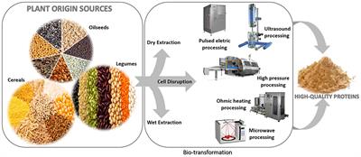 Influence of Emerging Technologies on the Utilization of Plant Proteins